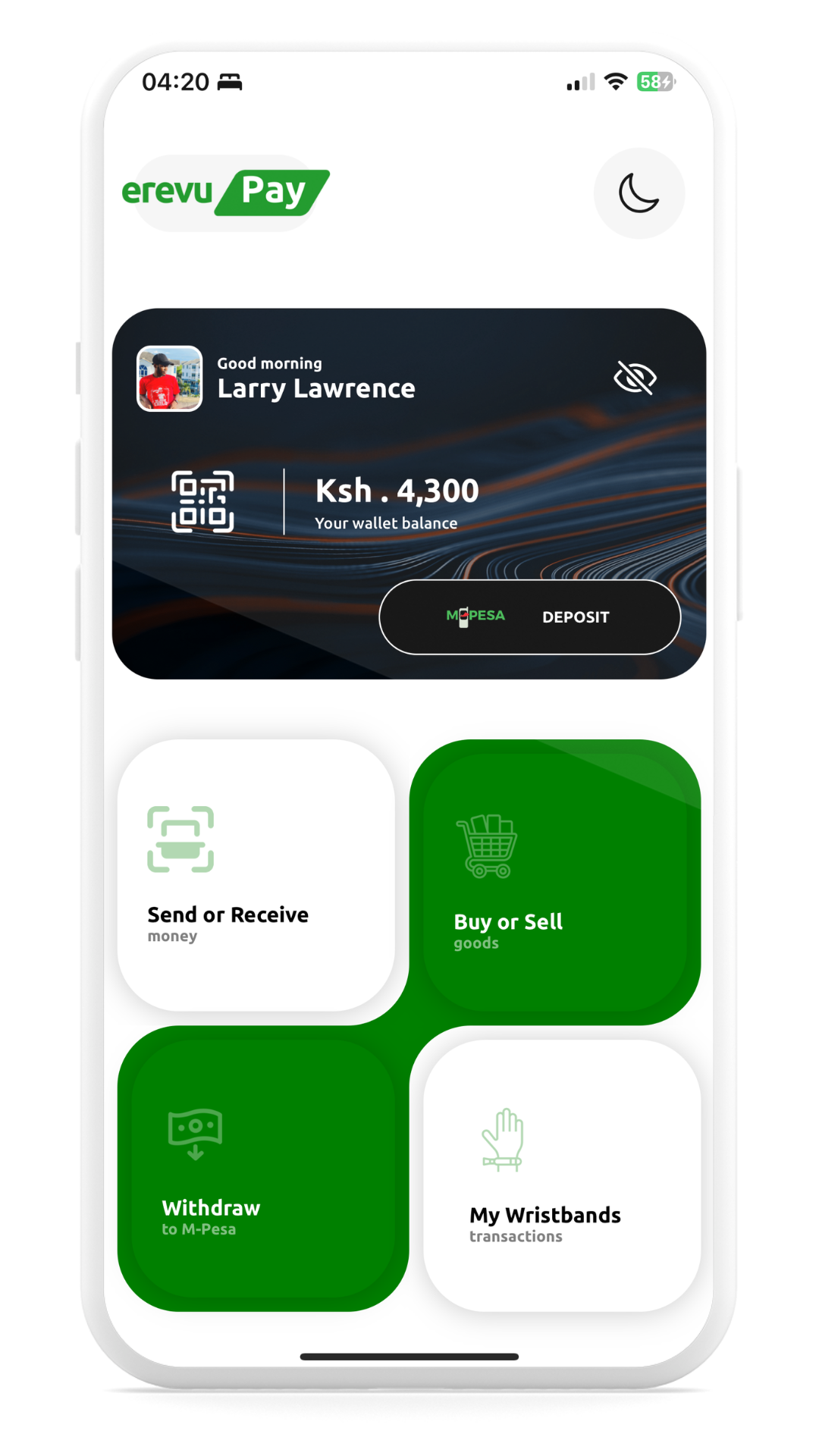 erevuPay App Interface